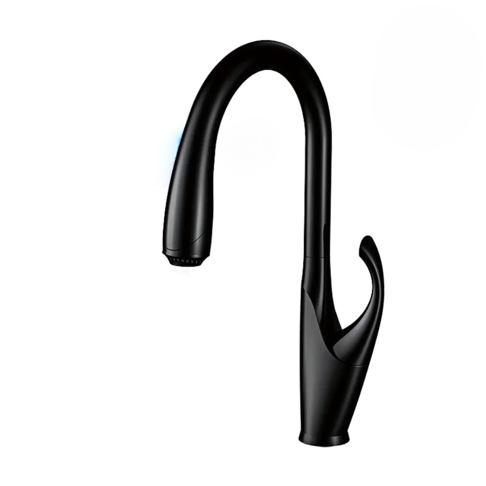 1_a0fe4a57-0f20-4b89-923a-69811f6f7caf.png - Robinet de cuisine
